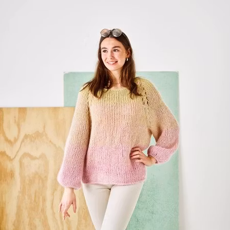 Raglanjumper  893535