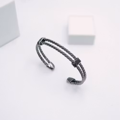 Gentle Silver Confident - Herr Armband Steel - SWEVALI