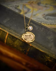 Silverhalsband, Rymdkatt