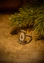 Skogs ring med skalbagge, silver/mässing