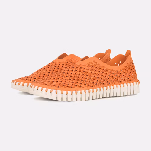 Tulip Slip-in Camelia