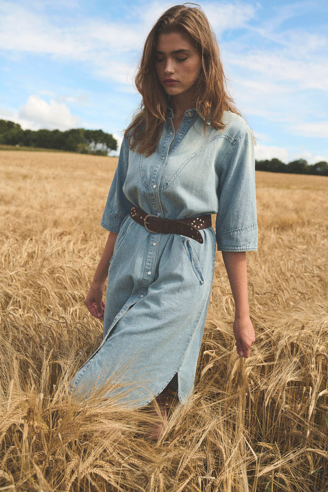 Naya Denim Dress