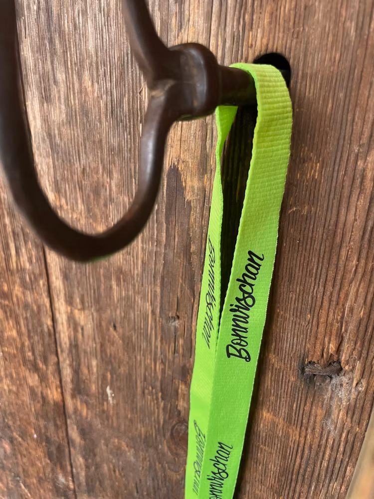 Nyckelband
