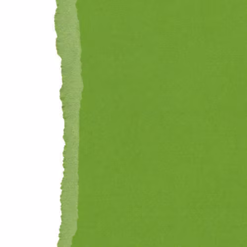 Ensfarget kartong 30,5x30,5cm - FERN 25pk./216gr canvasstruktur