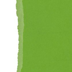 Ensfarget kartong 30,5x30,5cm - FERN 25pk./216gr canvasstruktur