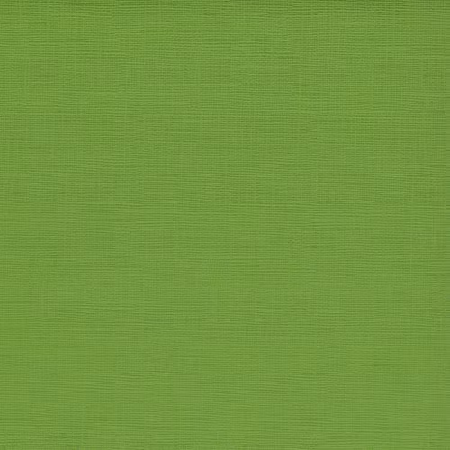 Ensfarget kartong 30,5x30,5cm - FERN 25pk./216gr canvasstruktur