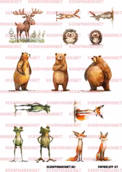 Papirklipp 86 - Dyreliv - NY!