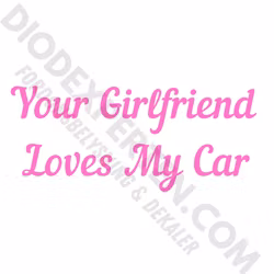 Your Girlfriend Loves My Car