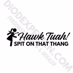 Hawk Tuah Dekal