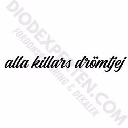 alla killars drömtjej Dekal
