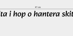 hita i hop o hantera skiten