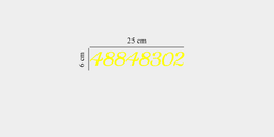 48848302