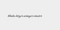blinka höger svänger vänster 20x2 SVART