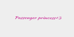 Passenger princess3 30x3 ROSA