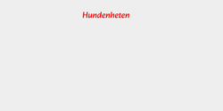 Hundenheten 47x10 RÖD