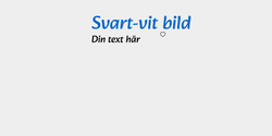 Svartvit bild 82x27 BLÅ SVART