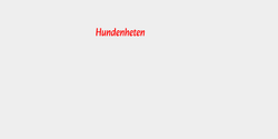 Hundenheten 40x10 RÖD