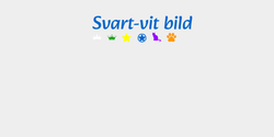 Svartvit bild 82x24 BLÅ