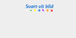 Svartvit bild 82x24 BLÅ
