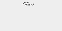 Theo 3 21x9 SVART