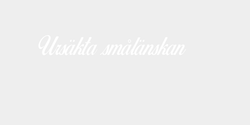 Ursäkta smålänskan 28x5 VIT