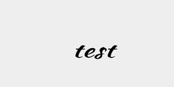 test 55x28 SVART