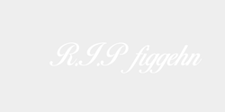 RIP figgehn 45x10 VIT