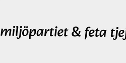 miljöpartiet  feta tjejer 79x10 SVART