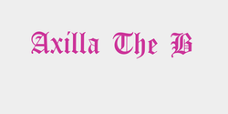 Axilla The BOss  65x12 ROSA