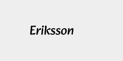 Eriksson 28x9 SVART