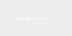 mollys seat 30x5 VIT