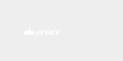 prince 22x9 VIT VIT