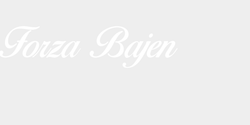 Forza Bajen 100x25 VIT