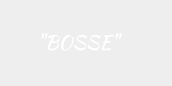 BOSSE 34x9 VIT