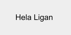 Hela Ligan 38x9 SVART