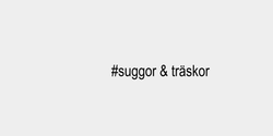 suggor  träskor 80x15 SVART