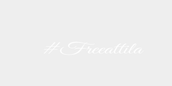 Freeattila 43x8 VIT