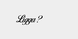 Ligga 23x9 SVART