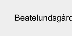 Beatelundsgård 56x9 SVART
