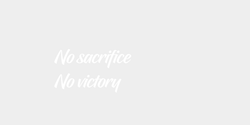 No sacrifice No victory 23x13 VIT
