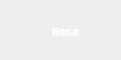 Rosa 50x20 VIT