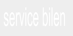 service bilen  65x30 VIT