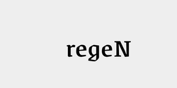 regeN 27x12 SVART