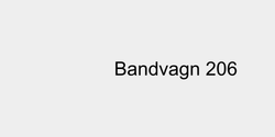 Bandvagn 206 100x18 SVART