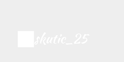 skutic25  33x8 VIT