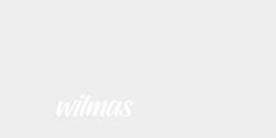 wilmas 19x9 VIT
