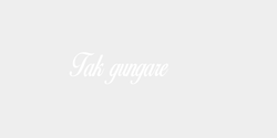 Tak gungare 25x8 VIT