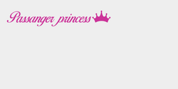 Passanger princess 20x3 ROSA