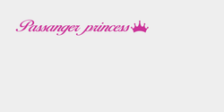 Passanger princess 20x2 ROSA