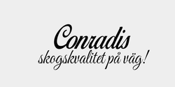 Conradis  41x17 SVART SVART